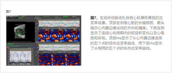 实验动物超声更新的成像技术