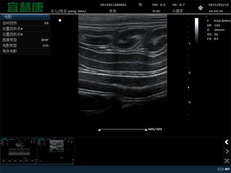 宠物彩超的临床数值实验