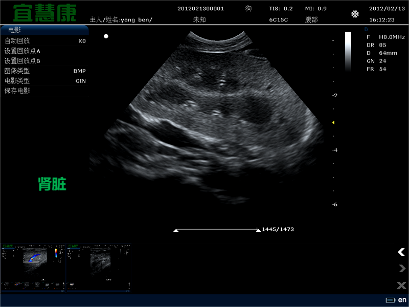 超声波-宠物的无创图像|动物医院枫树果园