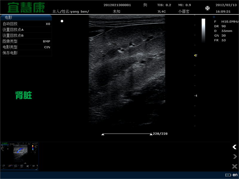 超声波-宠物的无创图像|动物医院枫树果园(图2)