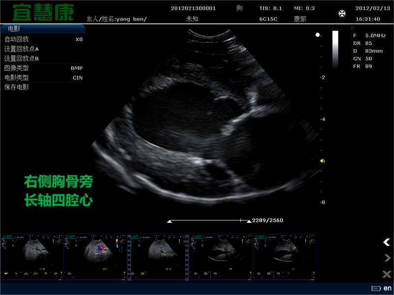 超声波-宠物的无创图像|动物医院枫树果园(图3)