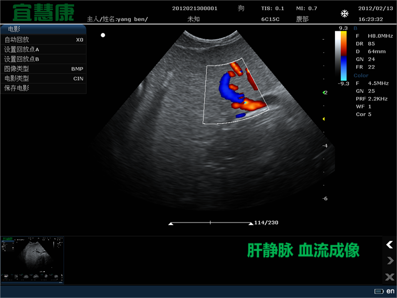 宠物彩超常见的几种呈像模式