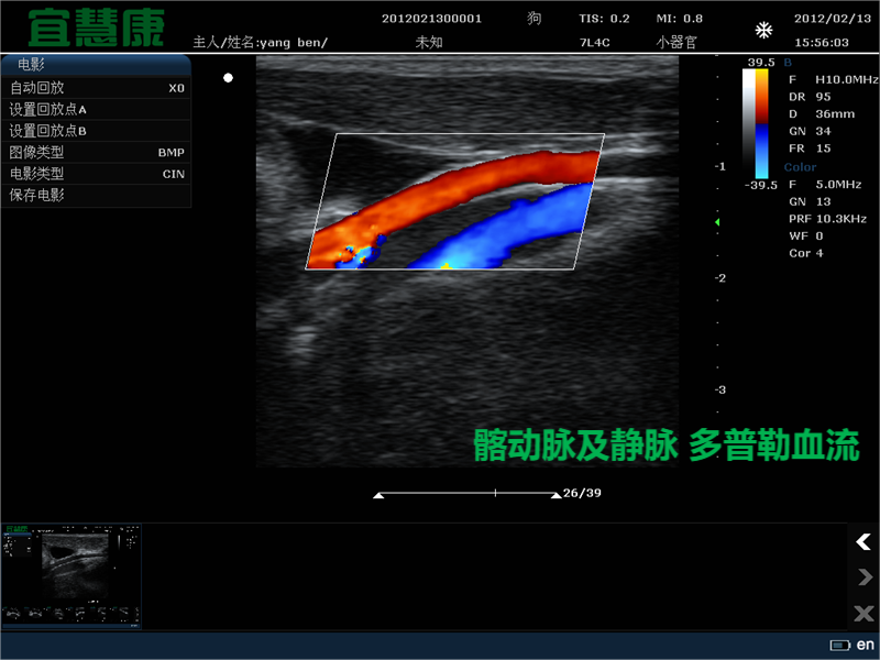 宠物多普勒彩超的工作原理